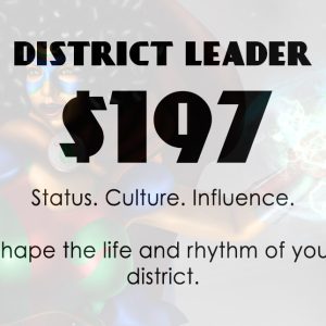 DISTRICT LEADER