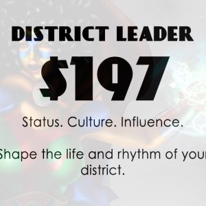 DISTRICT LEADER